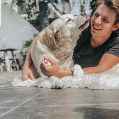 Rinke zoekt een Appartement in Haarlem